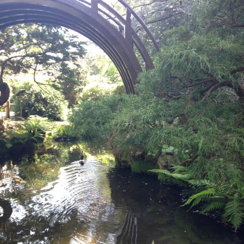 japaneseteagarden3
