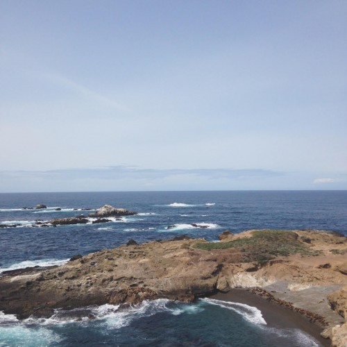 point lobos