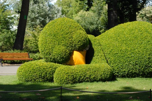 claude-pounti-au-jardin-des-plantes