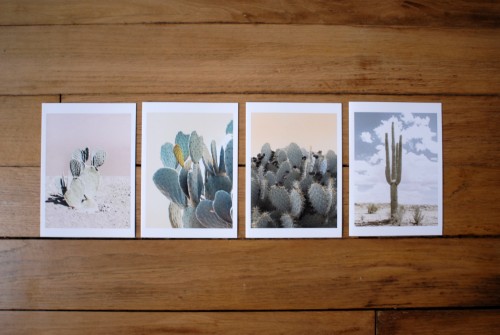 cacti-print