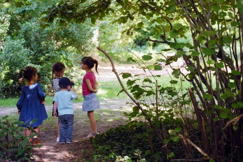 enfants-des-bois