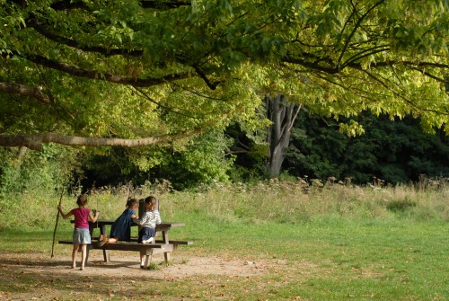 enfants-des-bois2