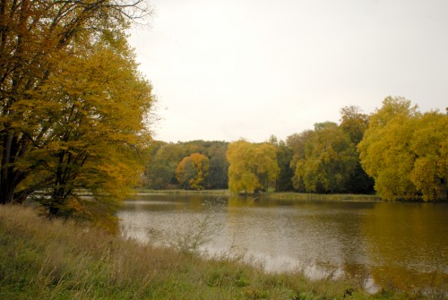 DSC_1279