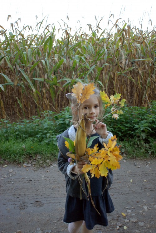 bouquet-d'automne