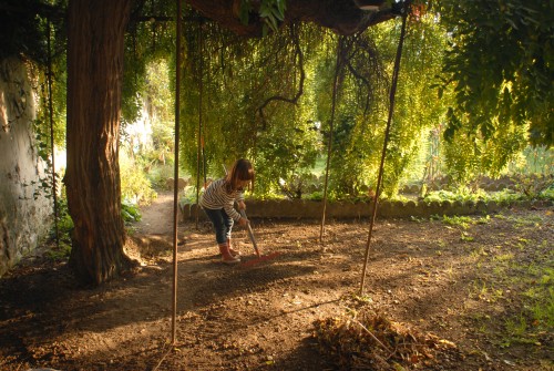 jardinage-du-dimanche