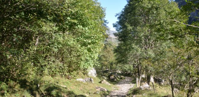 On part à Lourdes mon petit poussin !