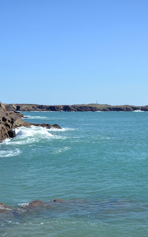 Le printemps à l'ile d'yeu (avec un petit guide de l'île dedans)