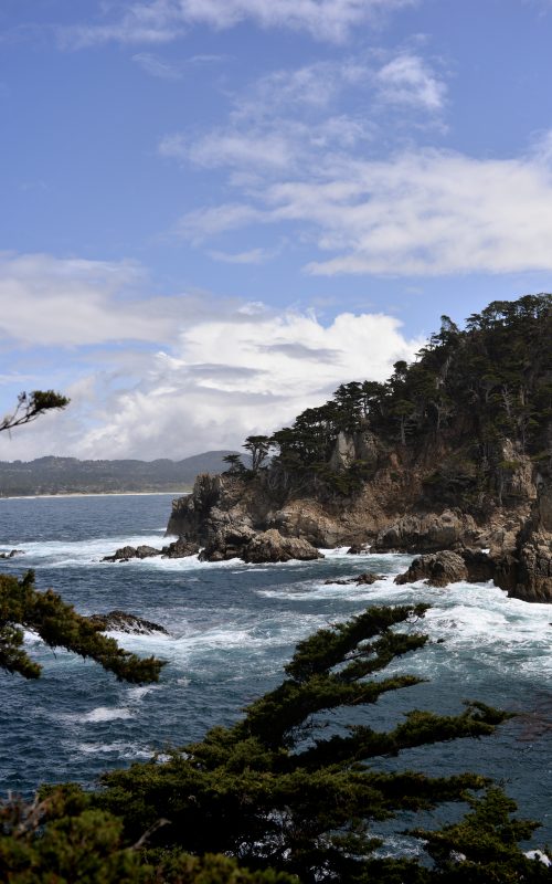 Notre road trip en Californie, Monterey/Big sur/ Point Lobos