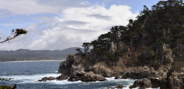 Notre road trip en Californie, Monterey/Big sur/ Point Lobos