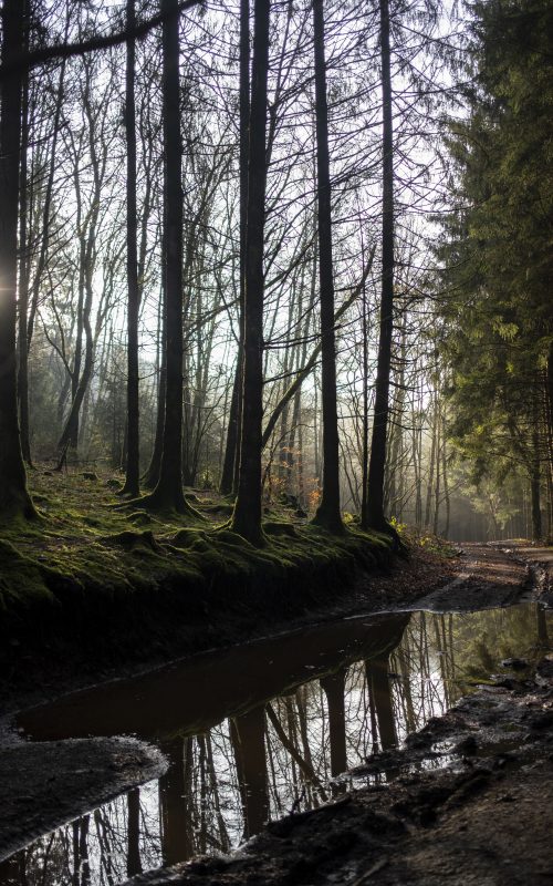 Une cabane dans les Ardennes Belges