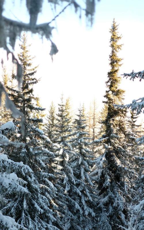 Une semaine aux arcs 1950 avec Pierre et Vacances