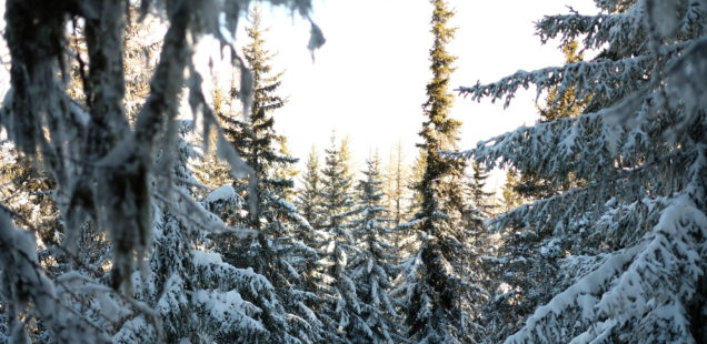 Une semaine aux arcs 1950 avec Pierre et Vacances